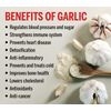 120 Max Blood Flow Circulation Support Capsules|Beet Root, Cayenne,Garlic,Ginger