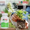 Hormex Rooting Powder #1 - for Easy to Root Plants - 0.1% IBA