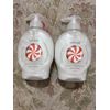 Cool Peppermint Scented Hand Soap (2 Pack)
