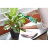 Miracle-Gro Leaf Shine, 8-Ounce Green