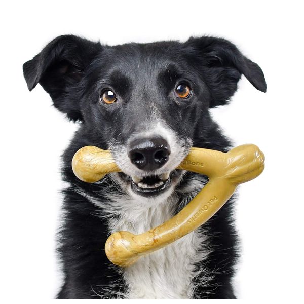 Pet Qwerks Wishbone BarkBone - Nylon Chew Toy for Aggressive Chewers - Peanut Butter Flavor - 6.75"