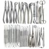 GERMAN 80 PC ORAL DENTAL HYGIENE EXTRACTION ELEVATORS FORCEPS SCALERS INSTRUMENT