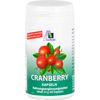 Avitale Cranberry Kapseln 400mg, 60 St. Kapseln