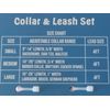 ~ BROOKLYN PET GEAR  GREEN Dog Leash & Adjustable Collar Set Medium ~ 4FT LEAD ~
