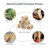 FRTIM Natural Loofah Sponge Shower Organic Luffa Exfoliating Bath Loofa Body Scrubber for Men Women Adults Back Face Skin SPA Care - 6 Pieces