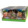 D&D Distributing Blue Ribbon Ranch Novelty
