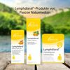 Lymphdiaral sensitiv Salbe N, 100 g Salbe