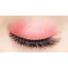 Witch’s Pouch Selfie Fix Pigment Eye Shadow