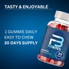 FitBites Gummies - 1 Month Supply - Fit Bites Gummies