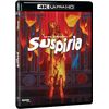Suspiria 4K Ultra HD [4K UHD]