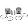 Ski-Doo Touring SLE 500, 1995-2000, Std Bore Pistons - Pair