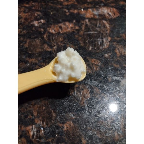 ONE TEA SPOON TSP ORGANIC MILK KEFIR GRAINS, BUY 2 GET 1 FREE + INSTRUCTIONS