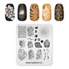 Alexnailart Nail Stamping Plate Nail Image Templates Stencil Nail Art DIY Manicure Printing Tool for Nail Art Design Flowers (FA073)