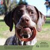 Redbarn Pet Products Bully Rings 3-Count, Pack of 2