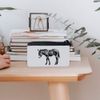 Azeeda 'Donkey Standing Side View' Pencil Case (PC00056825)