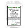 Astragalus Capsules 5000mg x 240 - MEGAVITES AMINOLAB