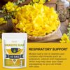 Mullein Leaf Herbal Tea for Respiratory Support, Mullen Tea for Lung Cleanse, &