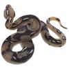 Realistic Simulation Snake Model - Fake Prank Prop for Halloween Kids