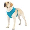 Adjustable Dog Pet Harness Breathable Air Mesh Comfortable Reflective Vest Blue