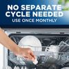Finish Dishwasher Cleaner - In-Wash 4ct