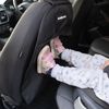 Sakura Back Seat Protector