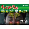 【第2類医薬品】チクナインa 28包