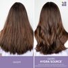 Biolage Hydrasource Blow Dry Shaping Hair Lotion 150 ml