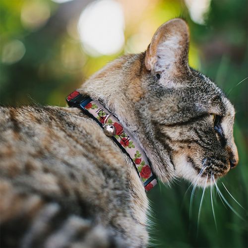 Cat Collar Breakaway Rose Trio Leaves Pink 8 to 12 Inches 0.5 Inch Wide