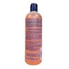 Isoplus Neutralizing Shampoo + Conditioner 16 Ounce (473ml) (3 Pack)