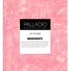 Palladio Lip Stain, Hydrating and Waterproof Formula, Matte Color Look, Longlasting All Day Wear Lip Color, Smudge Proof Natural Finish, Precise Chisel Tip Marker, Rose