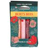 Burts Bees Cool Kissable Color Gift Set, 1 EA