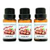 Crazy Candles Hazelnut 3 Bottles 1/2 FL Oz Each (15ml) Premium Grade Scented Fragrance Oil