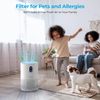 Official Certified Replacement HEPA Filter for B-D02L/B-D02 Air Purifier (2-PACK