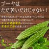 【リプサ公式】 ダイエットゴーヤ 約3か月分 C-211