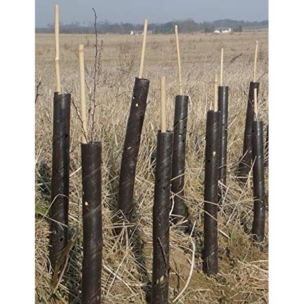Elixir Gardens | Spiral Tree Guards - 2ft/24 Inch | Professional Rabbit/Pest, Sapling & Shrub Protector x 18