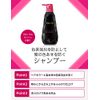 Prior Color Care Shampoo 13.5 fl oz (400 ml)