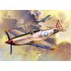 Trumpeter 1/32 P51D Mustang IV Fighter Model Kit