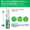 Gum Periodontal Pro Care Electric Toothbrush, Replacement Brush, SP01 x 2 Pieces (x1)