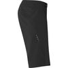 Fox Racing Men's Standard Flexair LITE Short, Black, 28