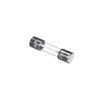 Trane Fuse; 3.0 Amp, Miniature Glass, Medium Time Delay