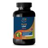 100% Pure Olive Leaf - OLIVE LEAF EXTRACT - Pure and Potent Ingredients - 1Bot