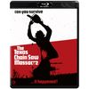 The Texas Chainsaw Massacre (BD) [Blu-ray]