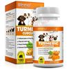 Turmeric for Dogs-Eliminate