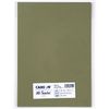 Maruman Canson Colored Drawing Paper, Mint, Olive Green, A4, 10 Sheets 321-711P
