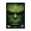 Upper Deck Protector: Marvel: Hulk, Multi (95205)