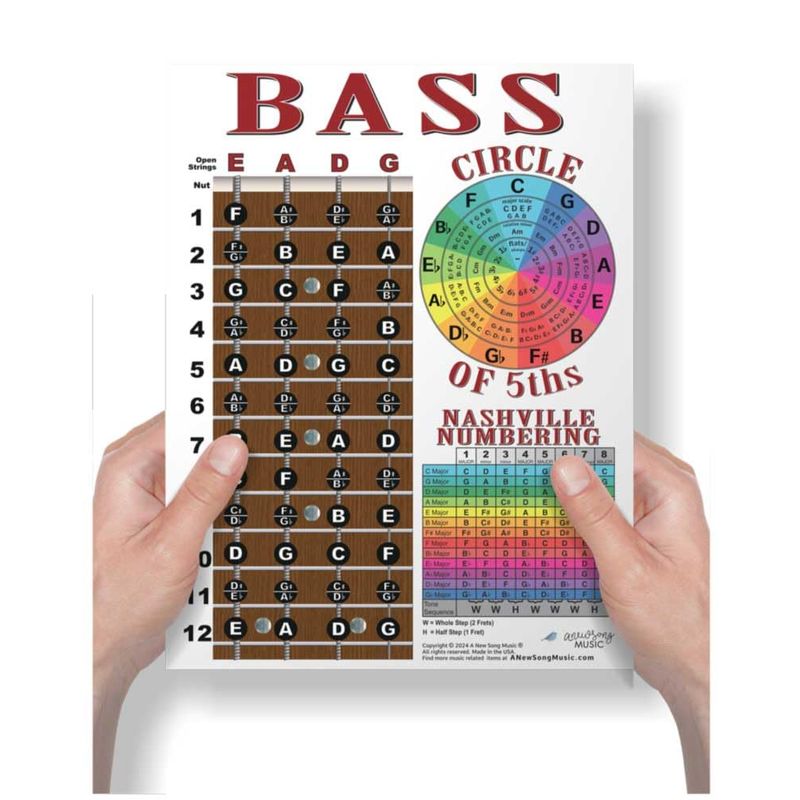 A New Song Music Laminated 4 String Bass Fretboard Notes Chart ...