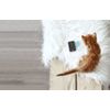 Tabcat v2 Pet Cat/Kitten Tracker – New Longer Range & Smaller Tags