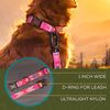 Wilderdog Ultralight Collar Series for Dogs - Medium - Playa
