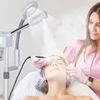 2in1 Facial Steamer on Wheels Ionic Ozone w/5X Magnifying Lamp Hot Mist Function