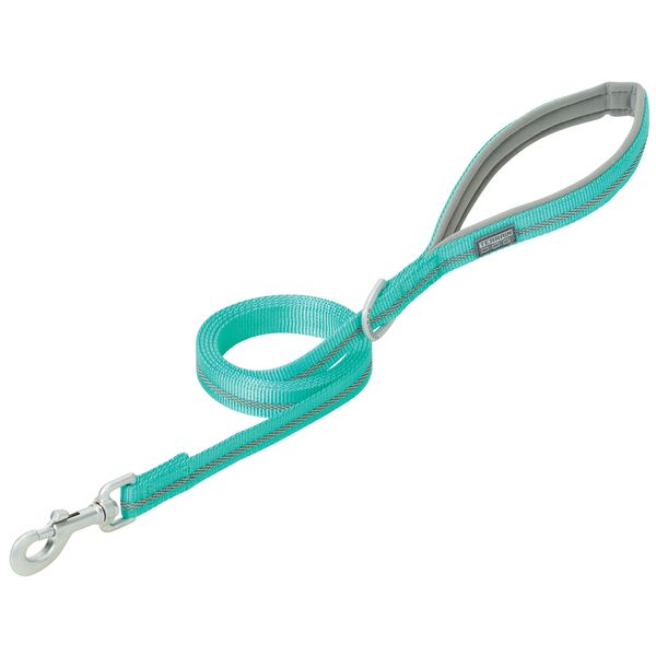 Terrain D.O.G. Reflective Neoprene Lined Dog Leash, Mint, 4-feet L x 1-inch W